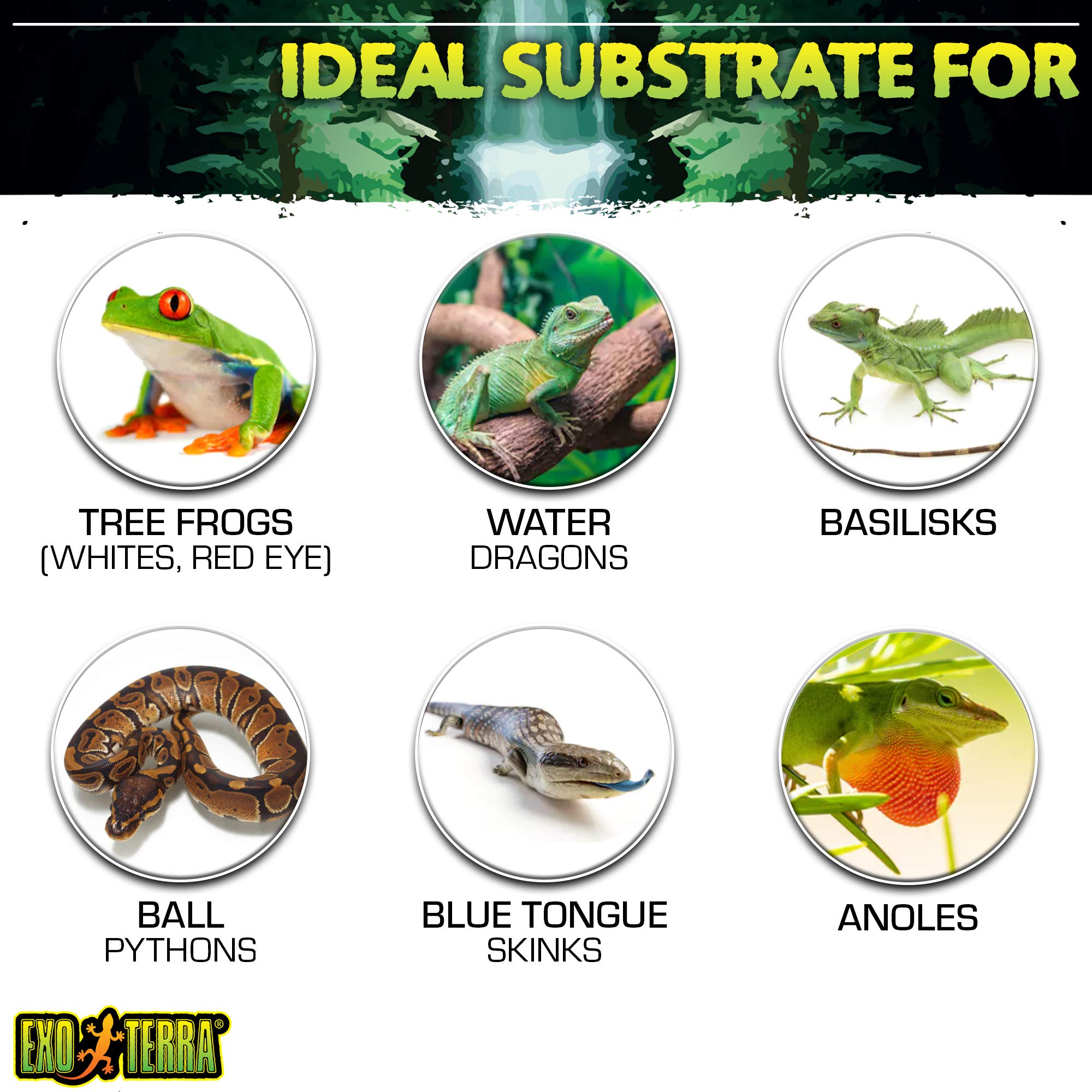 Exo Terra Coco Husk, 8 QT (8.8 L) – Coconut Fiber Reptile Bedding for Tropical Terrariums, Humidity-Holding Coco Fiber Substrate for Amphibians & Invertebrates - Image 5