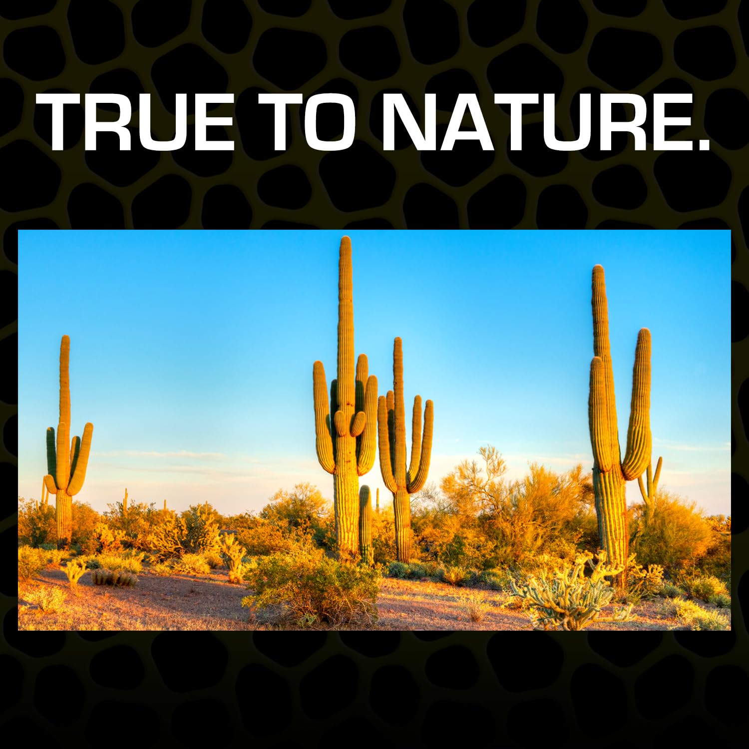 Exo Terra Desert Sand, 10-Pound, Red for All Breed Sizes - Image 4