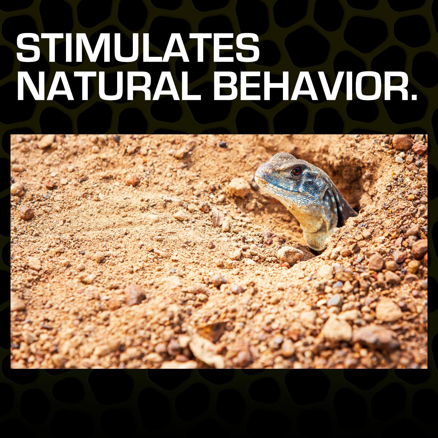 Exo Terra Desert Sand, 10-Pound, Red for All Breed Sizes - Image 5