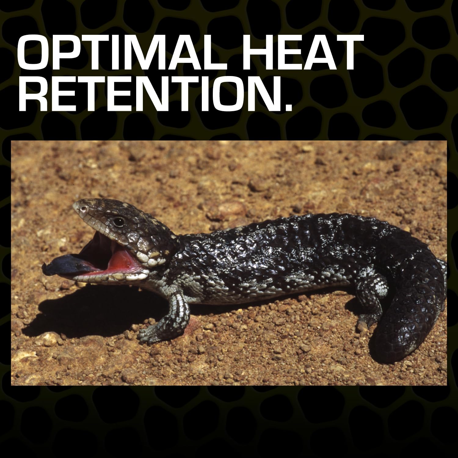 Exo Terra Desert Sand, 10-Pound, Red for All Breed Sizes - Image 6