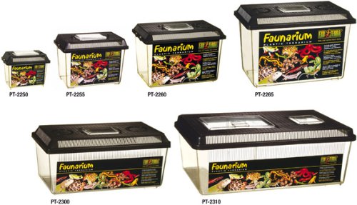 Exo Terra Faunarium Flat Home Plastic Reptile Terrarium, Large (18" x 12" x 6.5"), Ideal for Temporary Housing, Quarantine, and Transport, Transparent Plastic Door for Easy Access - Image 3