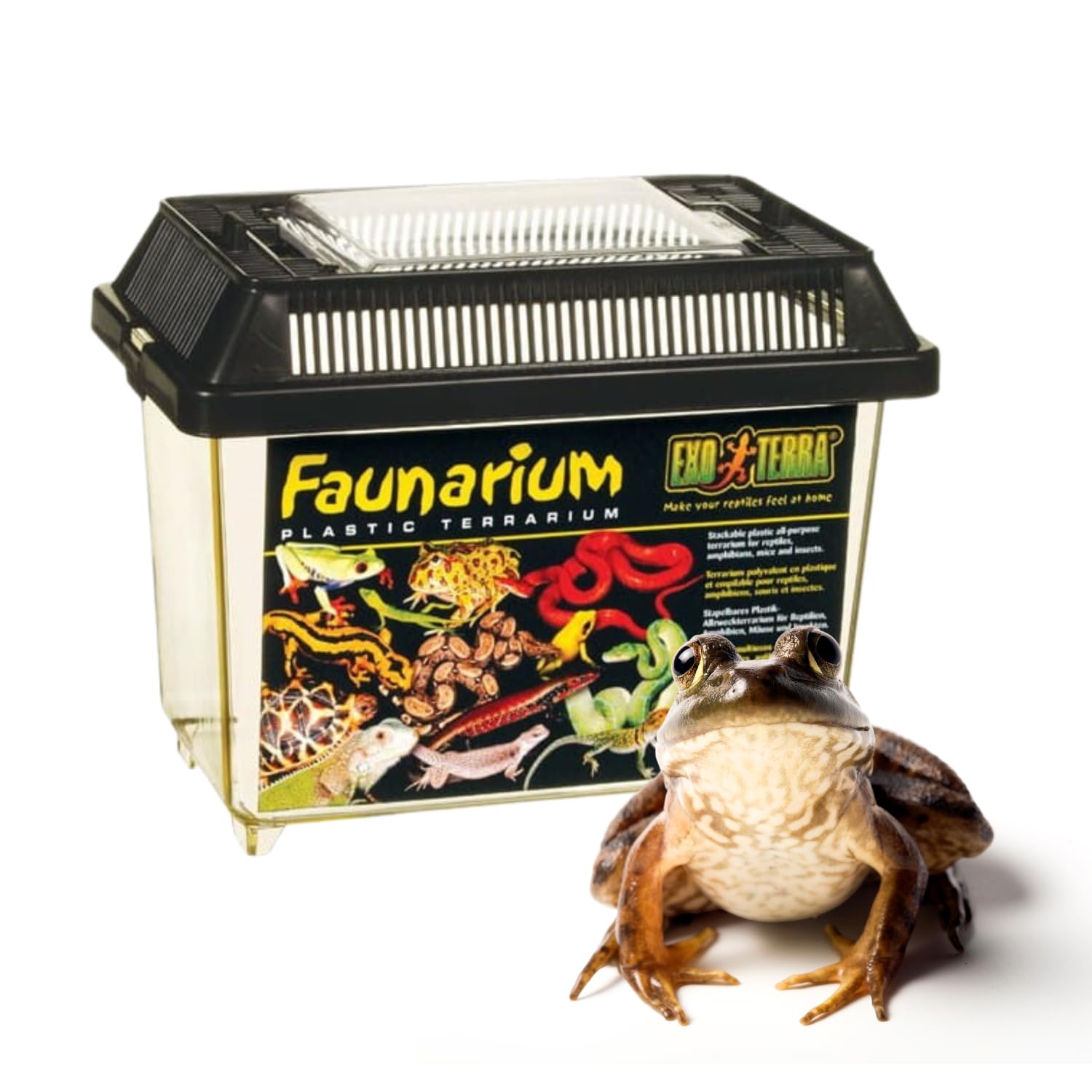 Exo Terra Faunarium Small PT2255 – Plastic Reptile Terrarium and Transport Container for Lizards, Spiders & Amphibians - Image 5