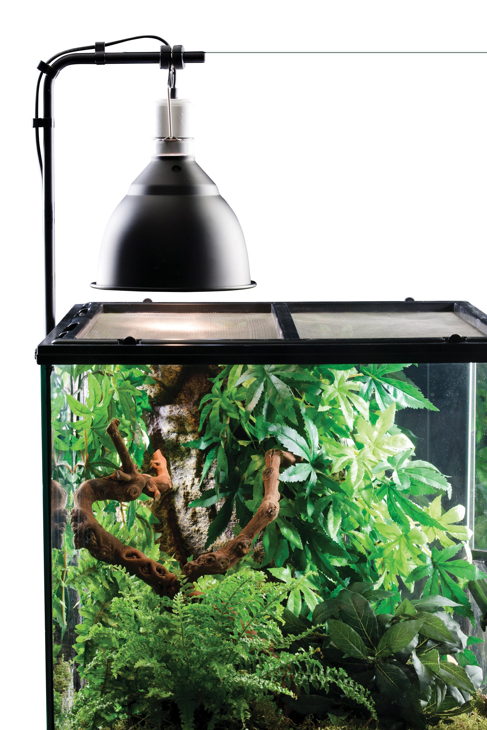 Exo Terra Lamp Holder Bracket for Reptiles, Multicolor, 1 Count (Pack of 1) - Image 4