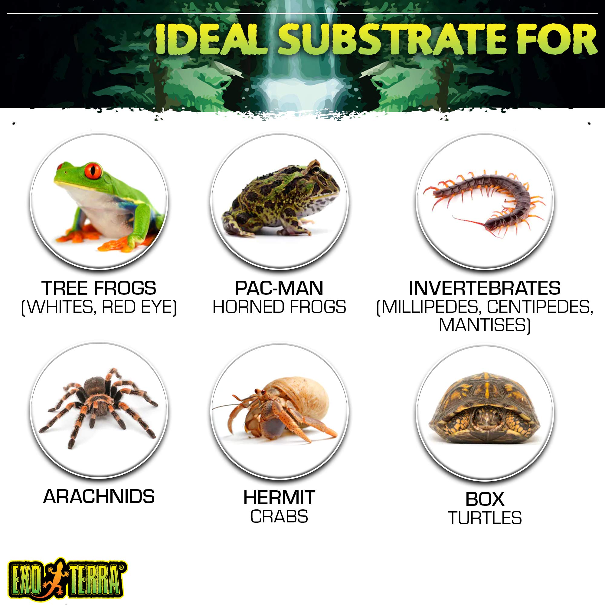 Exo Terra Plantation Soil, 8 Quarts - 3 Count (Pack of 1) - Image 5