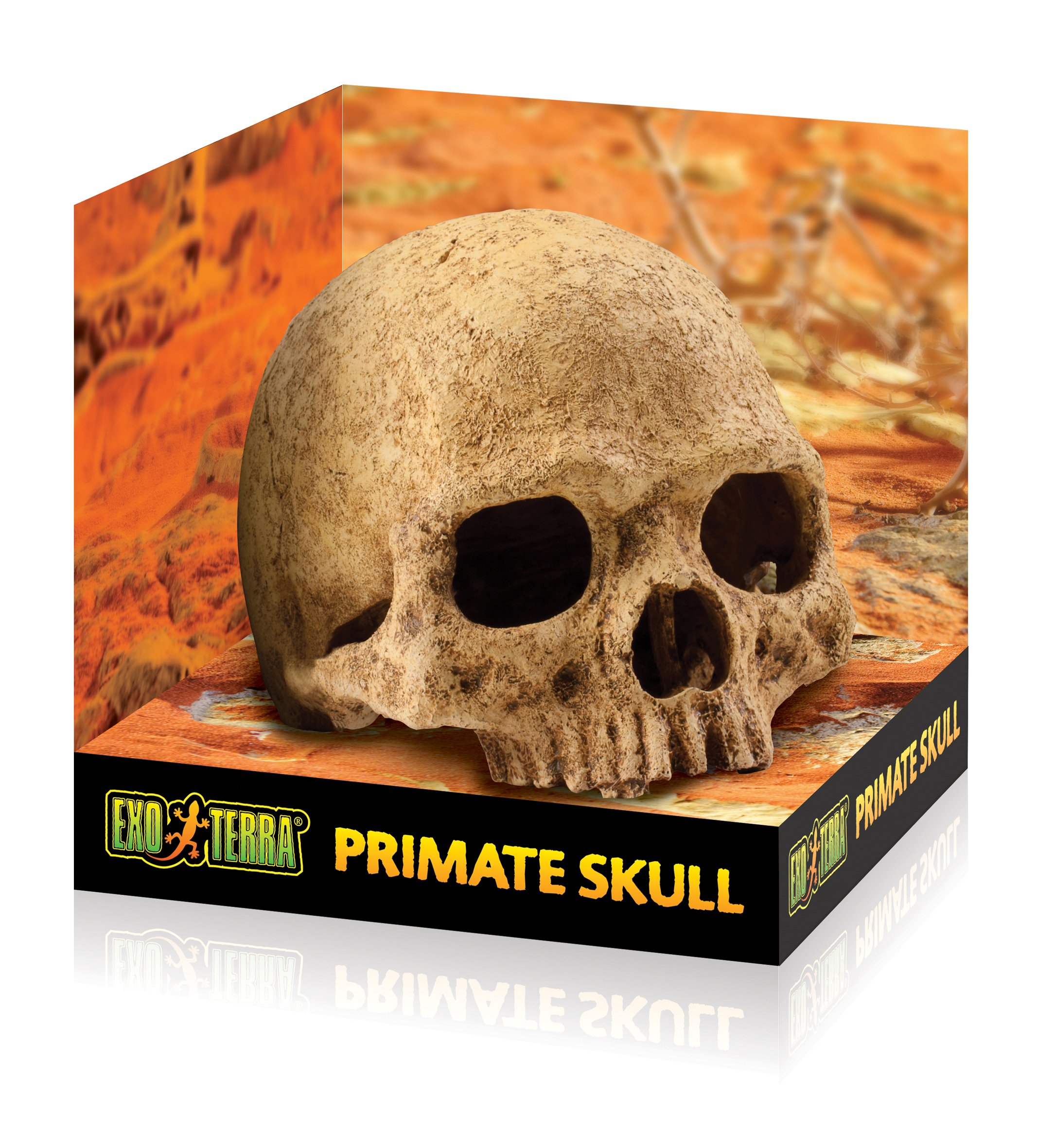 Exo Terra Primate Skull Terrarium D - Image 4