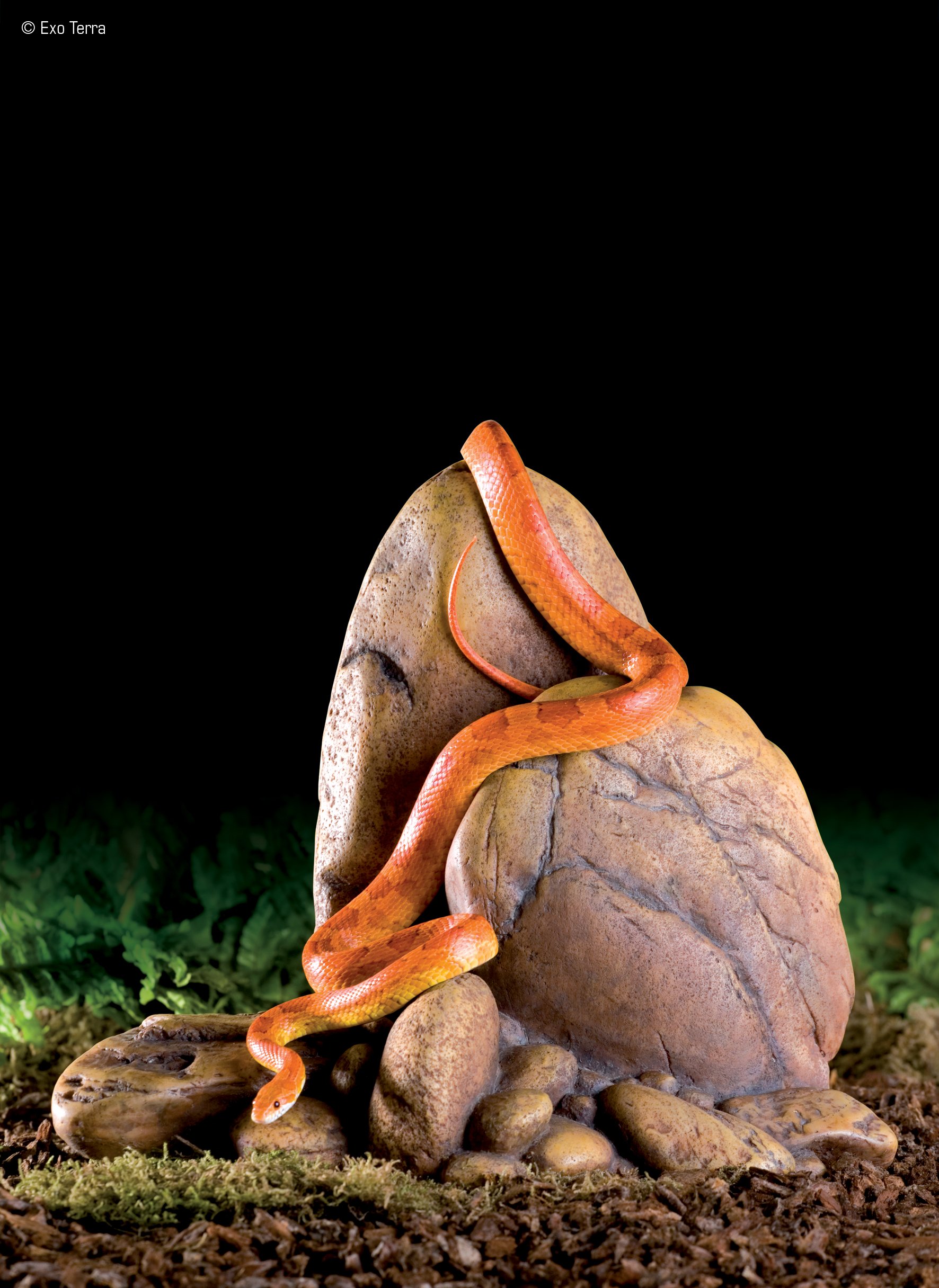 Exo Terra Rock Outcrops - Small - Image 3