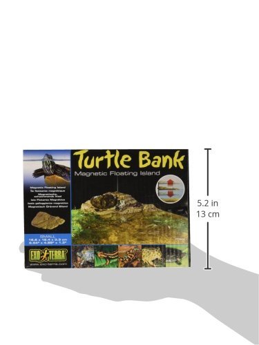 Exo Terra Turtle Bank - Small - Image 5